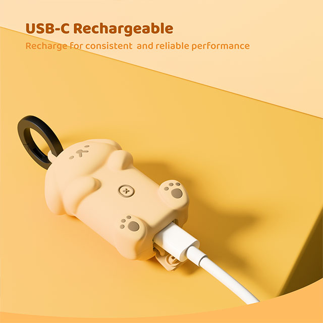 USB-C Rechargeable